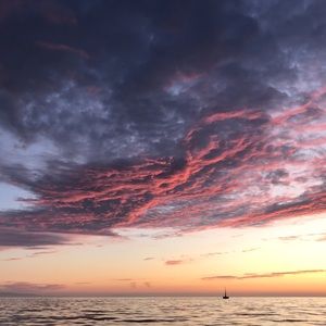 Meet your Posher, Kai